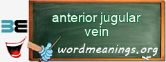 WordMeaning blackboard for anterior jugular vein